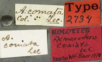 Media type: image;   Entomology 2734 Aspect: labels